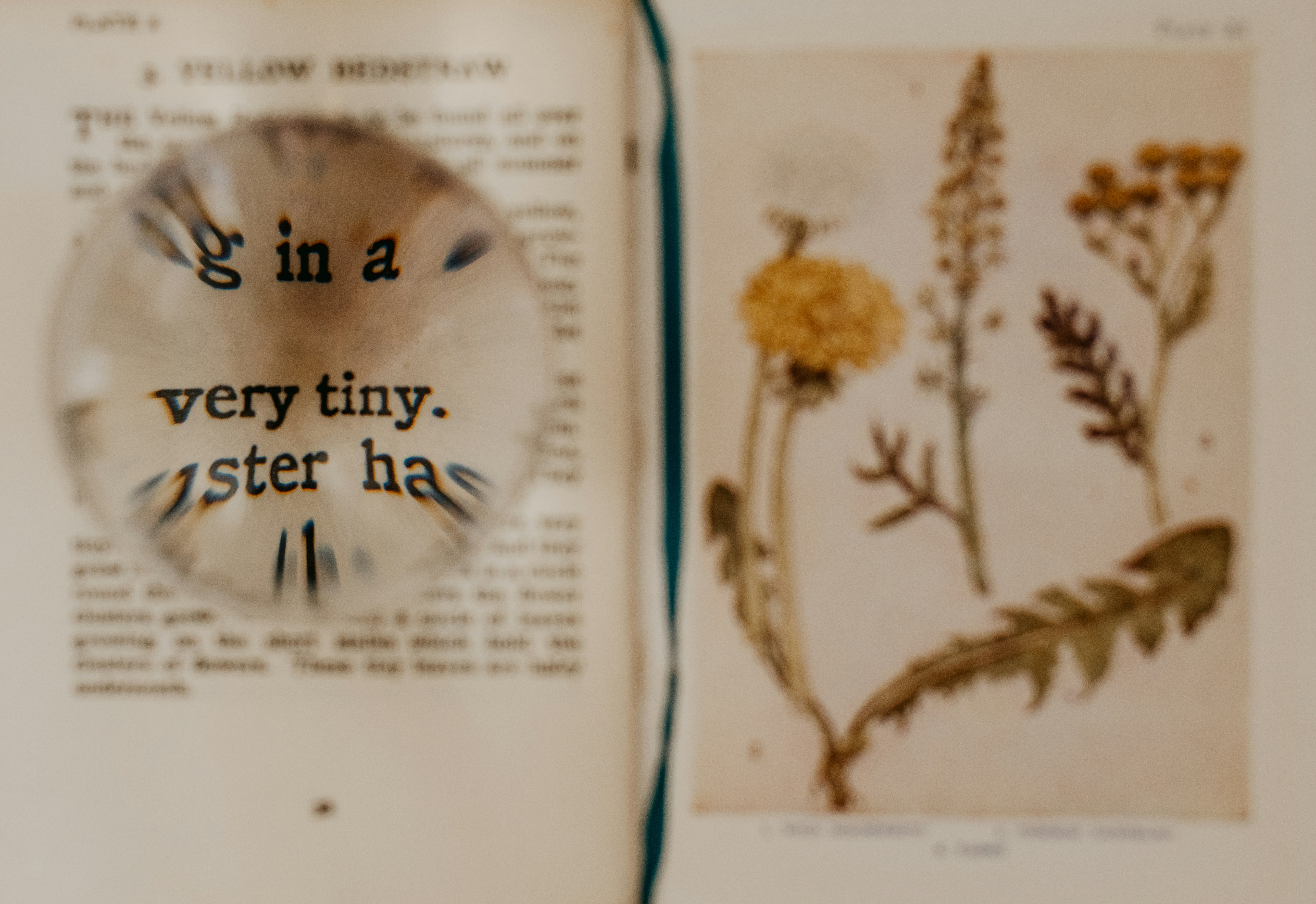 Photo by Annie Spratt on Unsplash